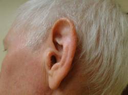 Close-up of the side of an elderly person's head, focusing on their ear with short, white hair visible.